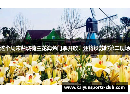 这个周末盐城荷兰花海免门票开放，还将设苏超第二现场